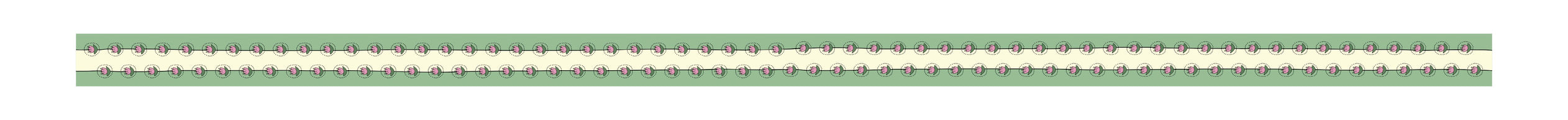 The Essential Washi Tape Set (6 Rolls of Joy)