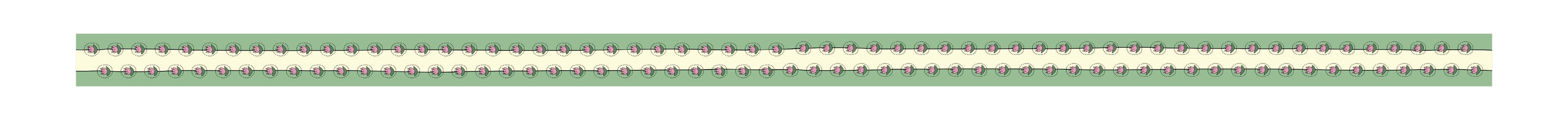 The Essential Washi Tape Set (6 Rolls of Joy)